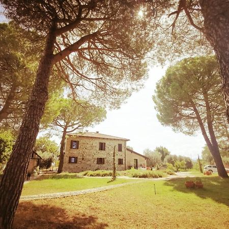 La Bertinora Bed & Breakfast Villa Verucchio Eksteriør bilde