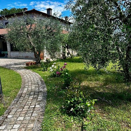 La Bertinora Bed & Breakfast Villa Verucchio Eksteriør bilde