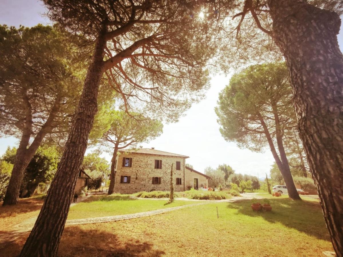 La Bertinora Bed & Breakfast Villa Verucchio Eksteriør bilde