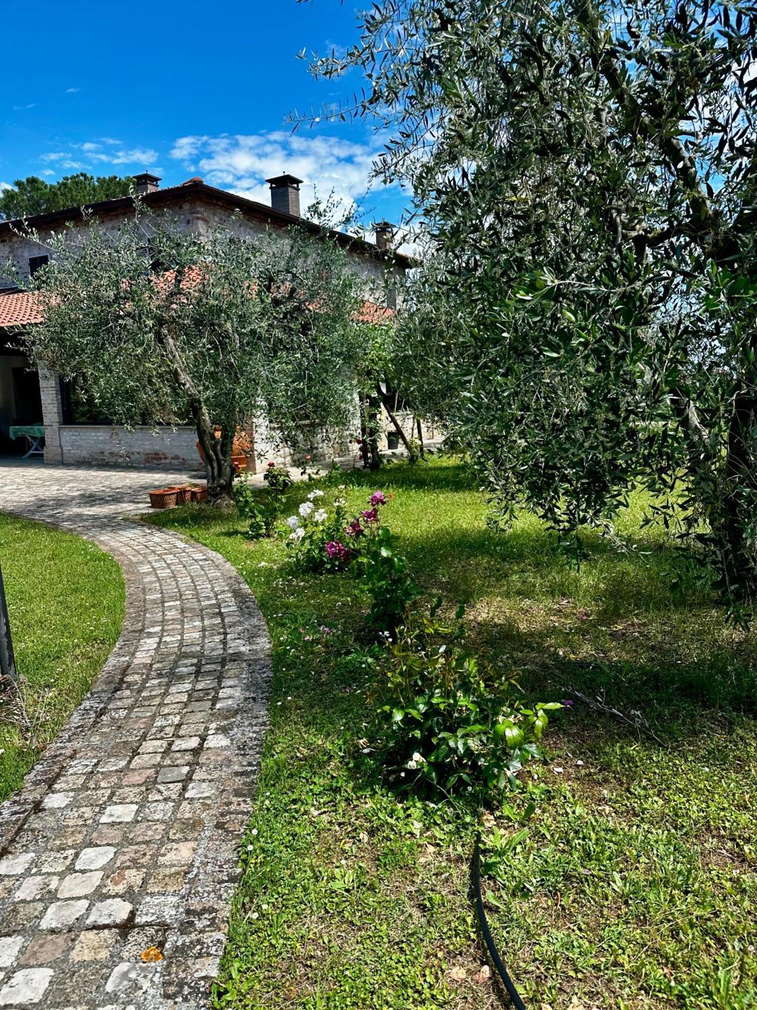 La Bertinora Bed & Breakfast Villa Verucchio Eksteriør bilde